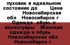 пуховик в идеальном состоянии до -10 › Цена ­ 1 000 - Новосибирская обл., Новосибирск г. Одежда, обувь и аксессуары » Женская одежда и обувь   . Новосибирская обл.,Новосибирск г.